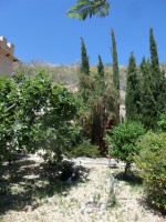 /album/lagolondrina/sam-4263-jpg1/