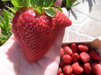 /album/lagolondrina/sam-4078-jpg1/