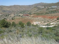 /album/lagolondrina/sam-4290-jpg1/