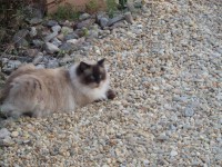 /album/lagolondrina/sam-4334-jpg1/