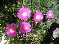 /album/lagolondrina/sam-4082-jpg1/