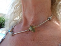 /album/lagolondrina/sam-4363-jpg/