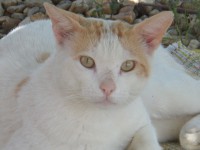 /album/lagolondrina/sam-4383-jpg/