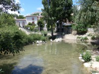 /album/lagolondrina/sam-4399-jpg/