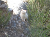 /album/lagolondrina/sam-4384-jpg/