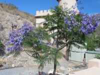 /album/lagolondrina/sam-4508-jpg/